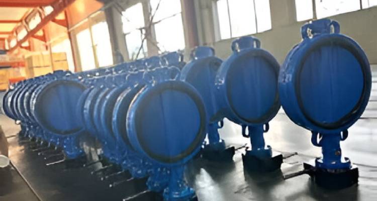 Precision polishing of industrial valve surface